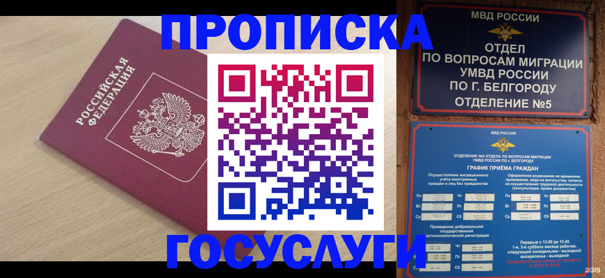 прописка законно в Козловке